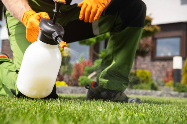 Best Pest Control for Homes  in Waterbury, CT